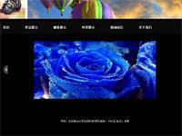 摄影网站唯美风格