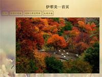 简单伊利旅游框架做