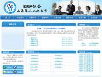 ERP协会网站