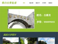 我的大学生活需定制