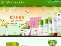 化妆品营销专题