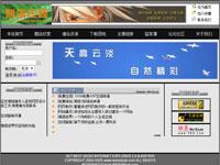 网页设计网站单页