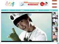 马天宇介绍单页