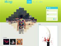 个人博客需定制