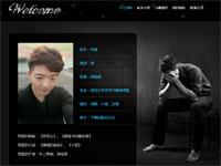 个人博客需定制