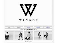 winner组合介绍