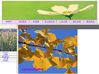 珍贵植物框架集带flash