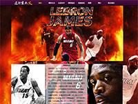 迈阿密热火队介绍