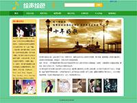 漂亮音乐网站带动画