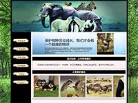 关爱动物网站