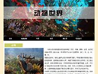 动物世界带动画