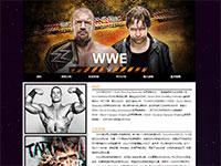 wwe介绍