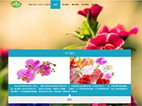 花卉植物网站