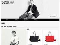 迪奥包包介绍