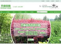 超复杂企业官网