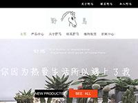 野马绿植商城带psd js