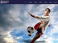 球队介绍带模版 js