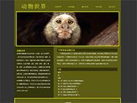 动物世界介绍