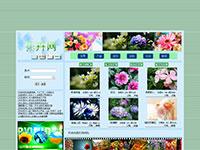 鲜花商城带动画