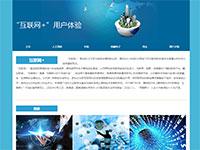 互联网+用户体验介绍带报告