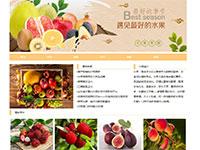 水果介绍