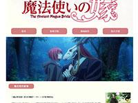 动漫魔法使的新娘