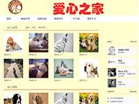 宠物助养网站首页