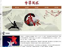 中国武术介绍