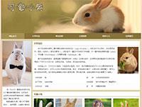 宠物兔兔介绍