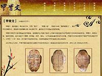 甲骨文介绍