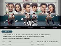 影视剧小欢喜介绍