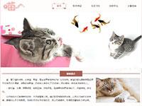 猫咪介绍网页