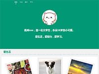 简单好看的个人主页