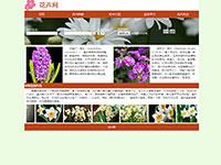 鲜花介绍花卉网带js