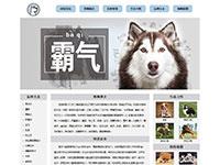 宠物狗狗介绍