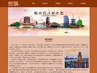 疫情之武汉介绍