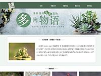 多肉植物介绍带视频音乐