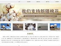 新疆棉花事件介绍带js轮播