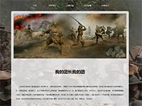 电视剧我的团长我的团介绍带视频