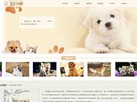 宠物网站专题介绍