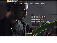 企业网站张亮麻辣烫带视频