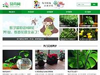 花卉鲜花养殖网