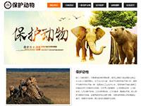 动物保护网