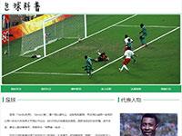 足球介绍带视频