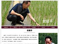 袁隆平纪念网站