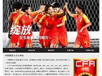 中国女足介绍