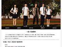 电视剧一闪一闪亮星星介绍