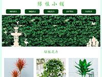 绿色植物介绍