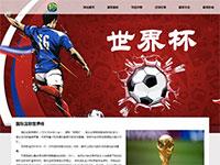 世界杯介绍